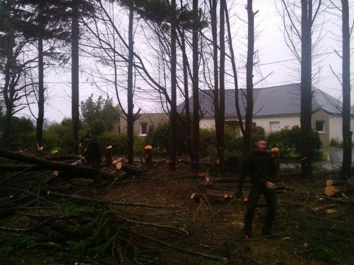 Élagueur Saint-Brevin-les-Pins