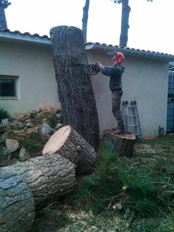 Services d'abattage d'arbres Saint-Brevin-les-Pins