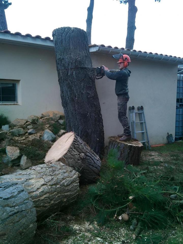 Services d'abattage d'arbres Saint-Brevin-les-Pins