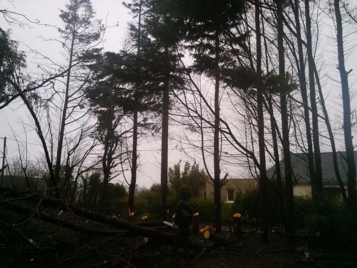 Travaux d’élagage Saint-Brevin-les-Pins