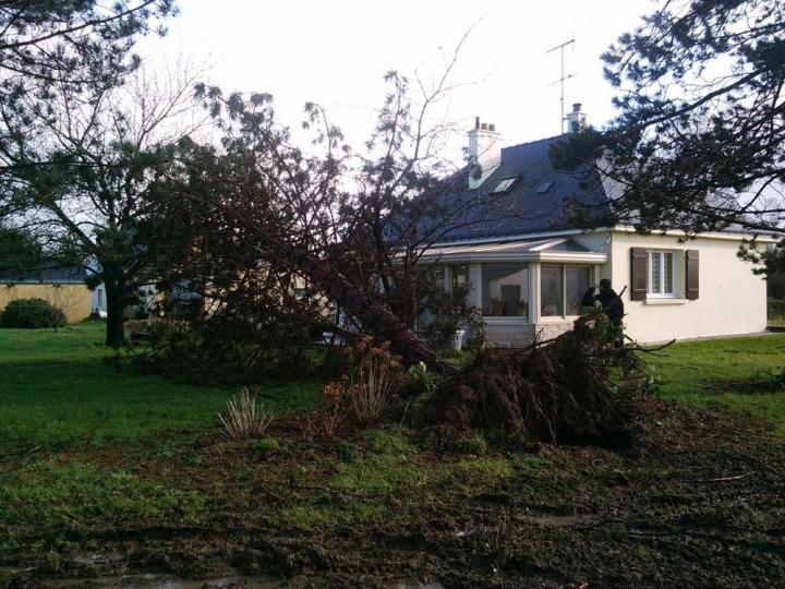 Abattage d'arbres Saint-Brevin-les-Pins