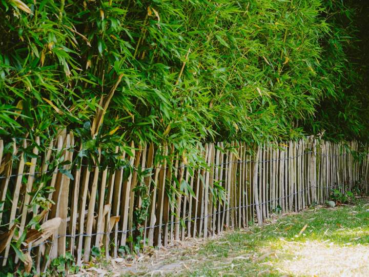 Paysagiste - Saint-Brevin-les-Pins