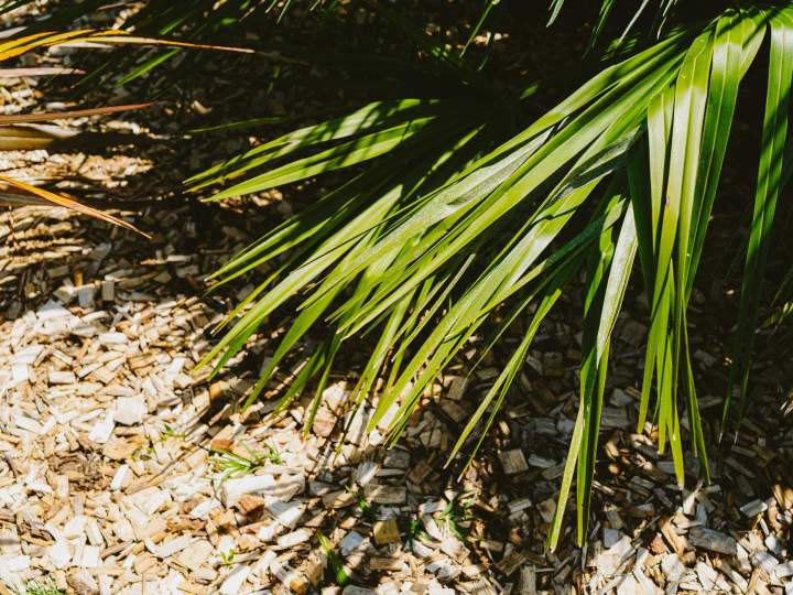 Paysagiste - Saint-Brevin-les-Pins